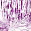 Glace colorée en mauve 5 pièces par Irina Gorbman-219192942
