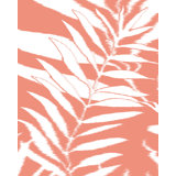 Floral Wallpaper