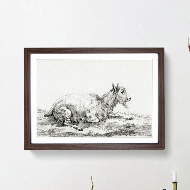 Resting Goat by Jean Bernard - Picture Frame Drawing Print, 36cm H x 48cm W x 2cm D, Walnut Framed