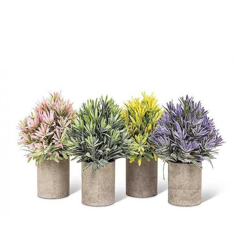 Assortiment de fleurs en forme de cône en pot