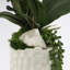 Orchid Faux Floral in Vase