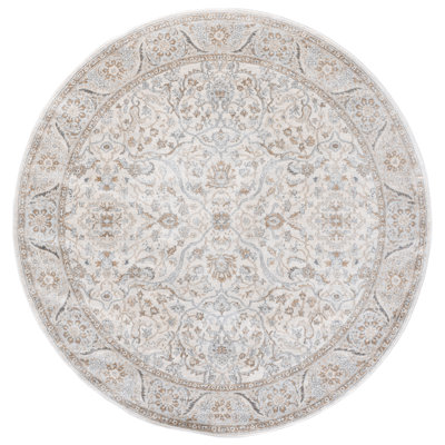 Aayushi Performance Oriental Rug