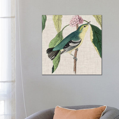 Avian Crop IV 1 Piece Wrapped Canvas Painting