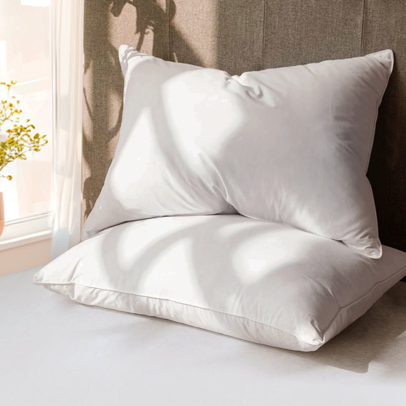 Oreiller de soutien en duvet d'oie Freman (ensemble de 2), Grand lit, Blanc