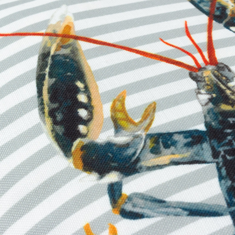 Salcombe Lobster Striped Rectangular Cushion