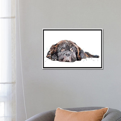 " Newfoundland Dog " by EdsWatercolours