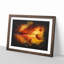 Leaf In The Autumn Paint Splash - Picture Frame Graphic Art-56865710-56865712