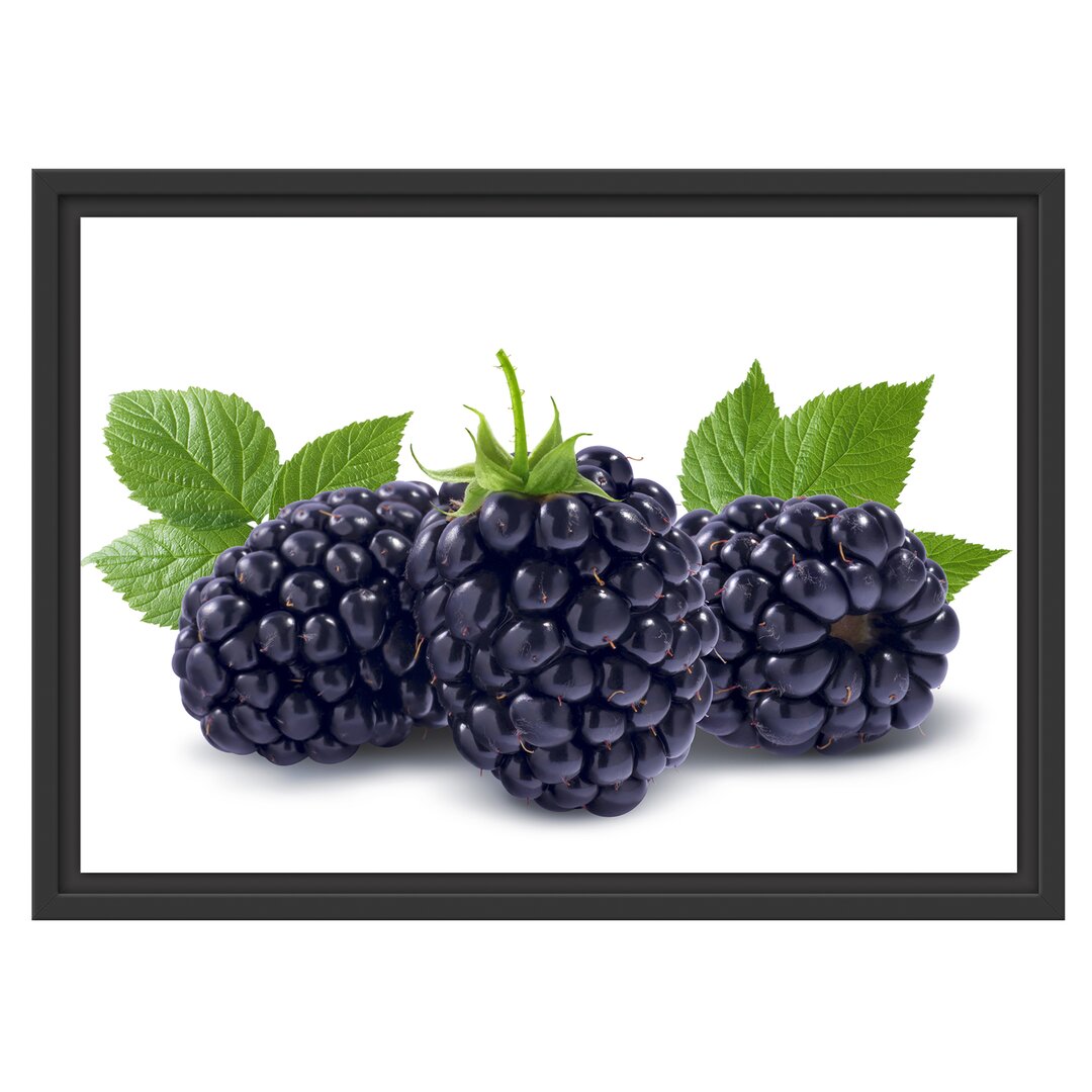 Gerahmtes Wandbild Leckere Brombeeren