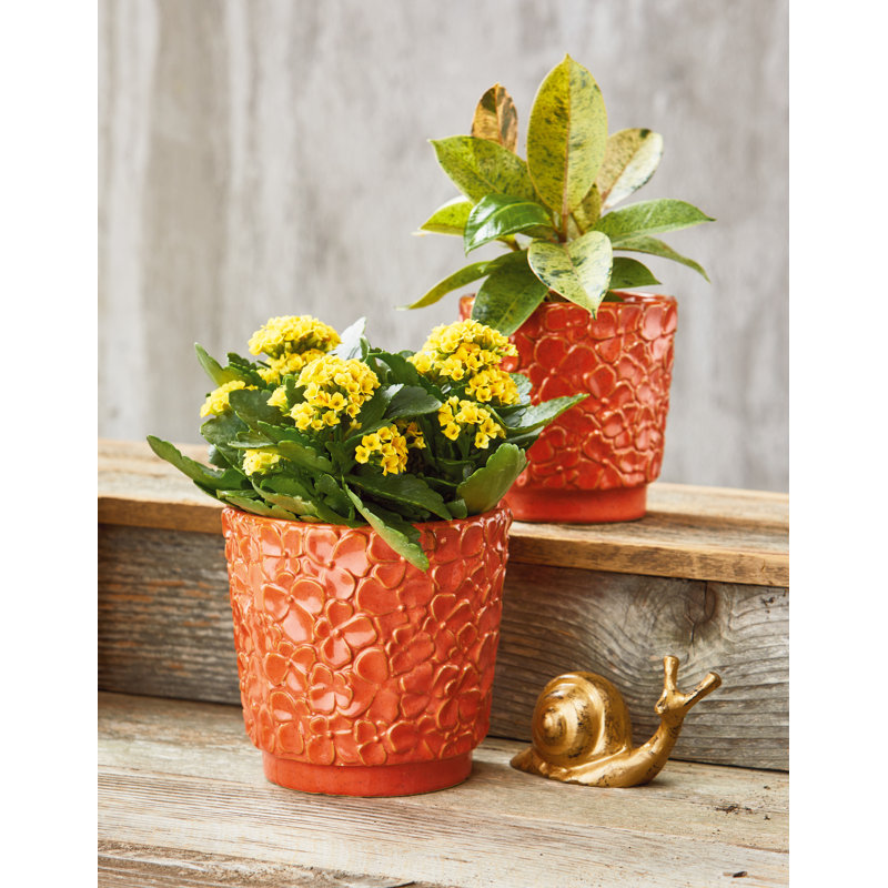 Blossom Medium Pink Planter - 5.75" Garden Pot for Indoor & Outdoor Use, Easy to Clean, Perfect for Everyday Decor