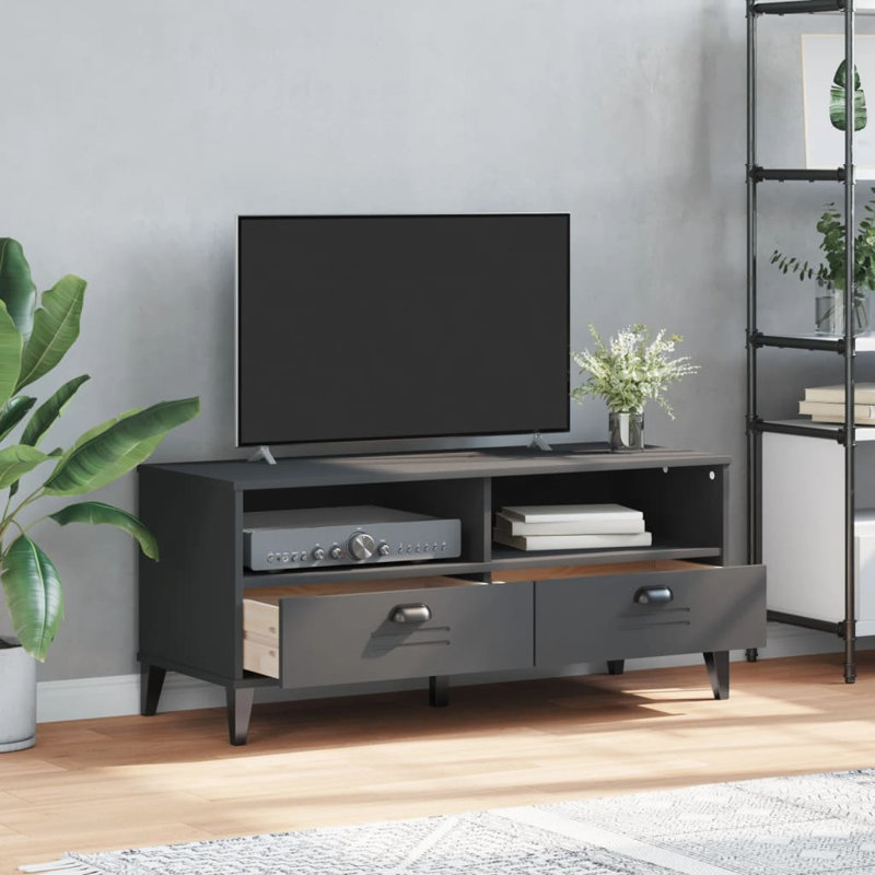 Oonagh Unfinished TV Stand for TVs up to 49" with Fireplace Included, Anthracite Grey