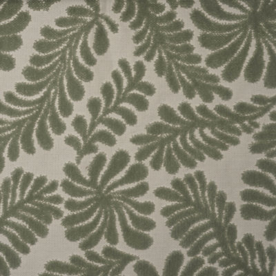 Eden Fabric