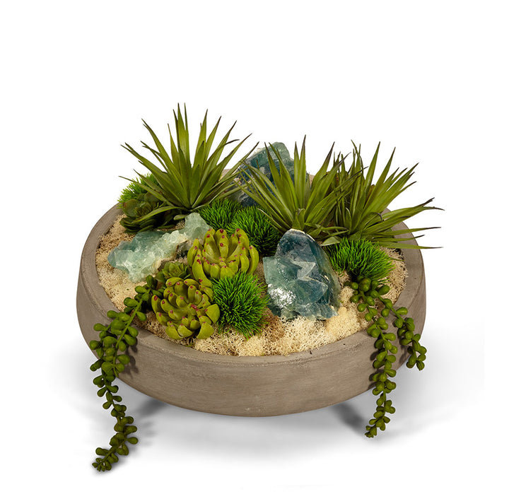 Plant in Concrete Pot
