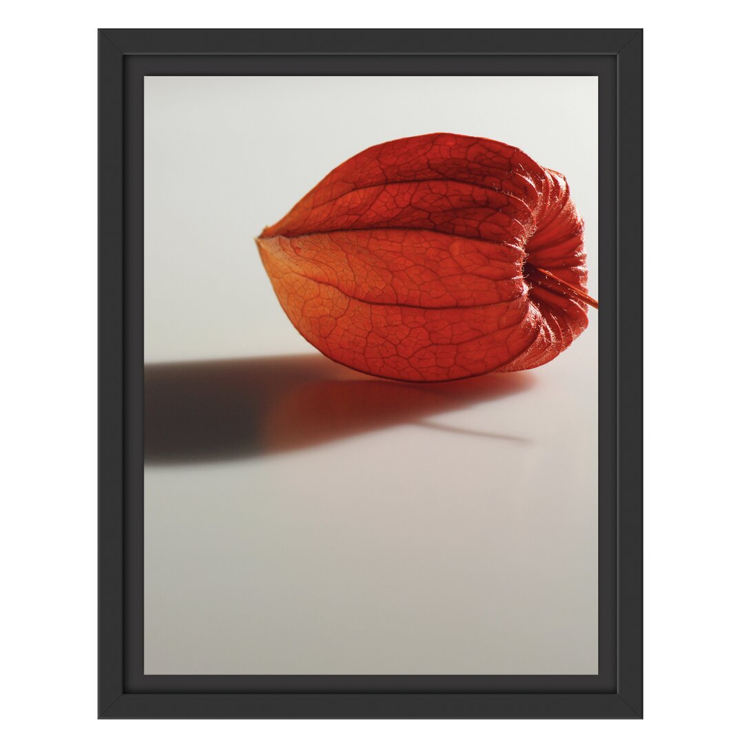 Gerahmtes Wandbild kleine Physalis