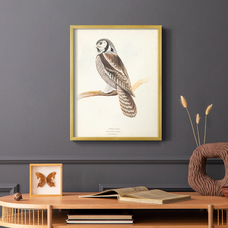 Reproduction encadrée Canada Owl - bois massif, Or, H 10 po x l 8 po