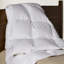 Cuddledown Windowpane Down Alternative Comforter-650611539-654746065