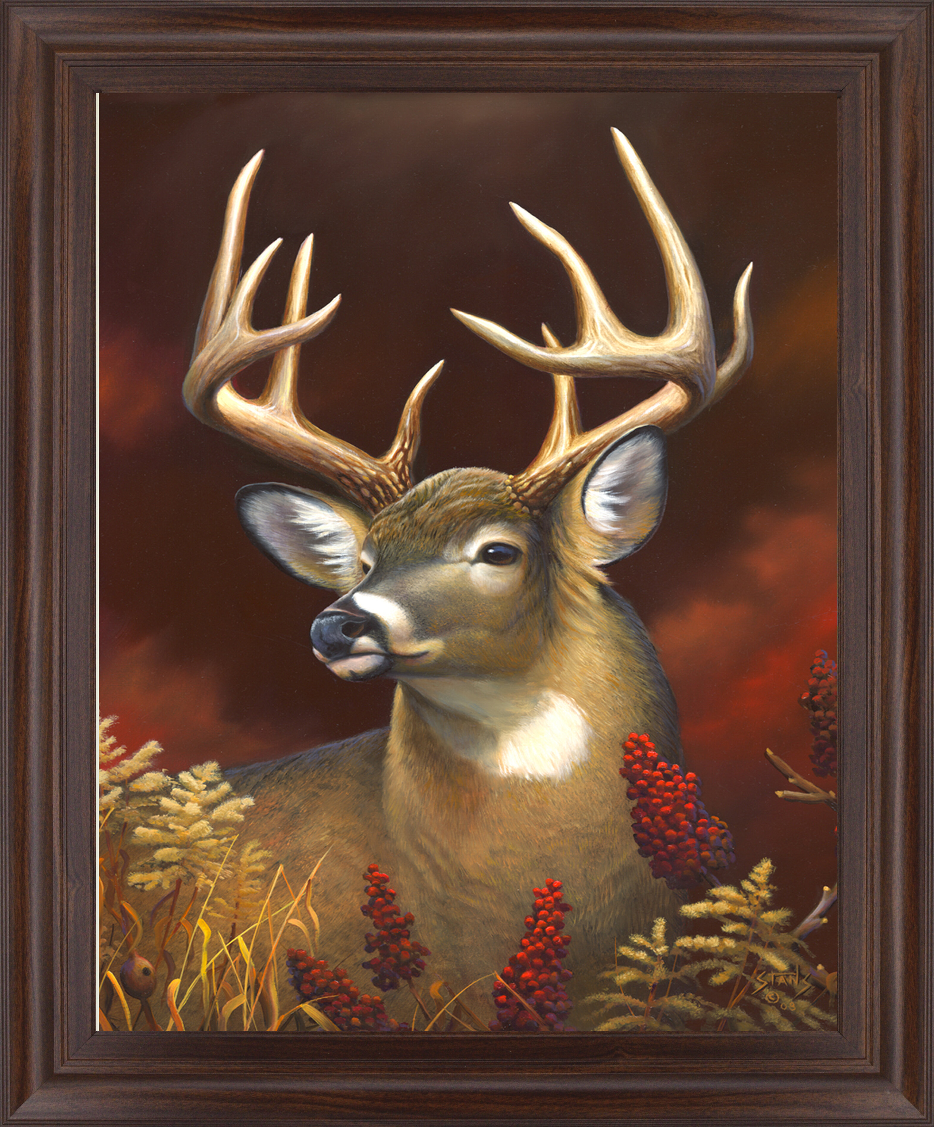 framed deer pictures