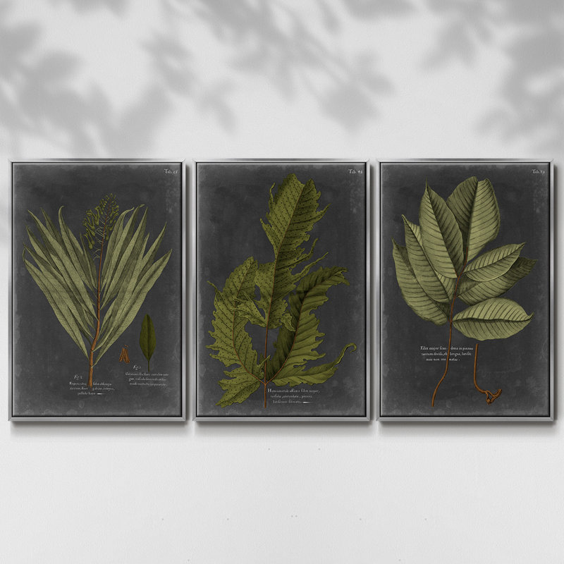 Foliage Dramatique I, ensemble de 3 toiles encadrées, Argent, H 36 po x l 72 po