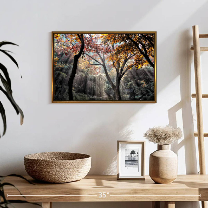 Rayons de soleil de la forêt, Cadre flottant doré, 19 po x 13 po
