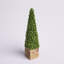 Topiaire de buis Armatha Spring en pot-1161632060