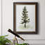 Watercolor Pine II - Peinture sur toile encadrée-753184263
