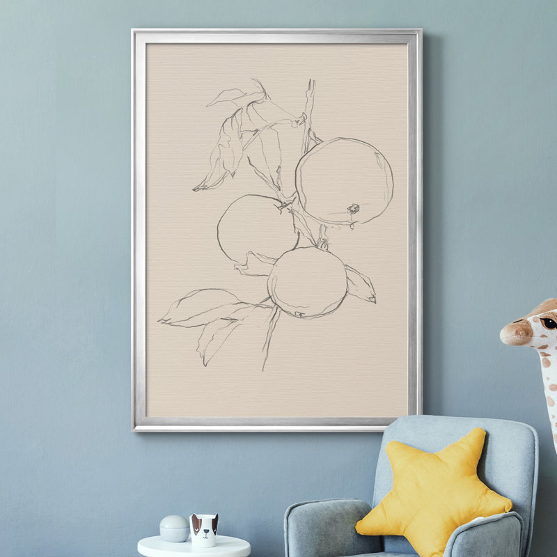 «Fruit Contour Study I», toile encadrée de qualité supérieure - prête à être accrochée, H 30,5 po x l 22,5 po x P 1 po