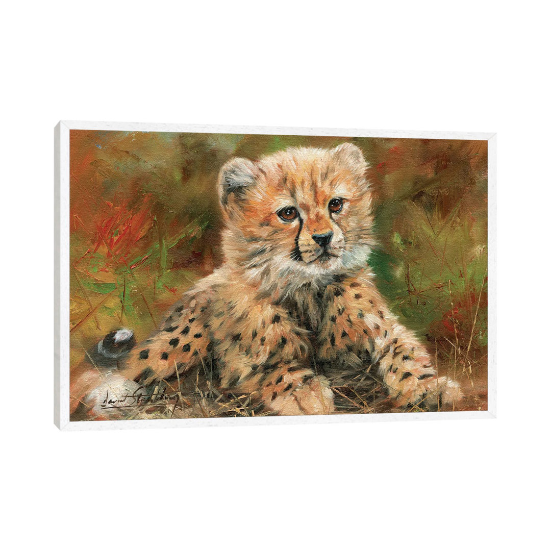 Cheetah Cub Laying Down von David Stribbling - Galerie-umwickelte Leinwand Giclée auf Leinwand