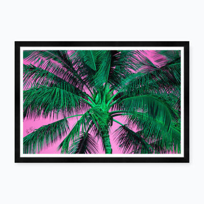 Tropical Palm In Pink & Green - Picture Frame Photograph
