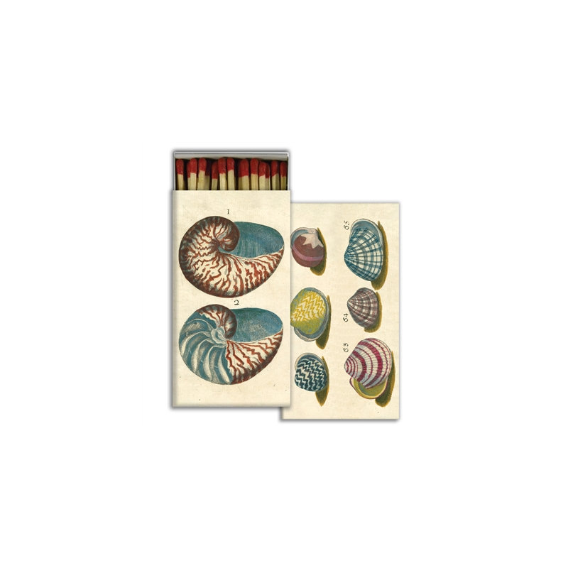 Allumettes - coquillages du 18e siècle