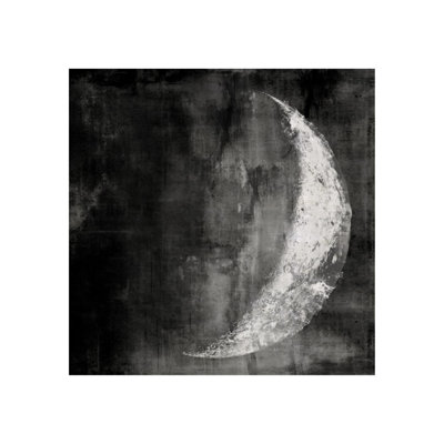 Chelsea Art Studio " Tuxedo Moon IV " by Leftbank Art