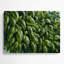 Art mural en métal botanique vert basilic-1123234158