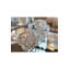 Dominico Glass Rope Desk Accessory Sculpture-43283270