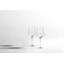 Nektar Wine Glass-1109659582