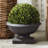 Gladus Urn Planter