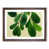 Walnut Framed