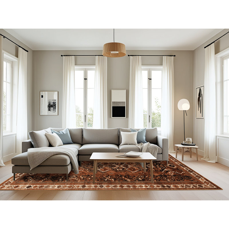 Machine Washable Turkish Brown Area Rug, Rectangle 8' x 12'