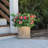 Lifelike Geranium Urn Filler - Red-1333554421