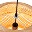 Alennah Dome Pendant Light, 1 Light
