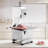 Stellweilan Tessberg Electric Meat And Bone Saw