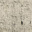 Tapis beige / gris anthracite Azaiah-1638220528