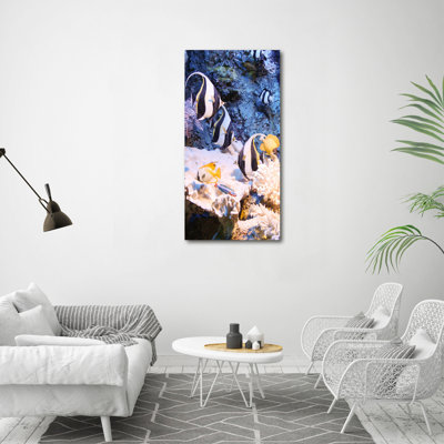 Colourful Spices - Wrapped Canvas Art Prints