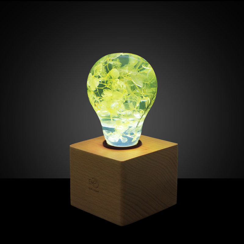 Solid Wood Novelty Lamp