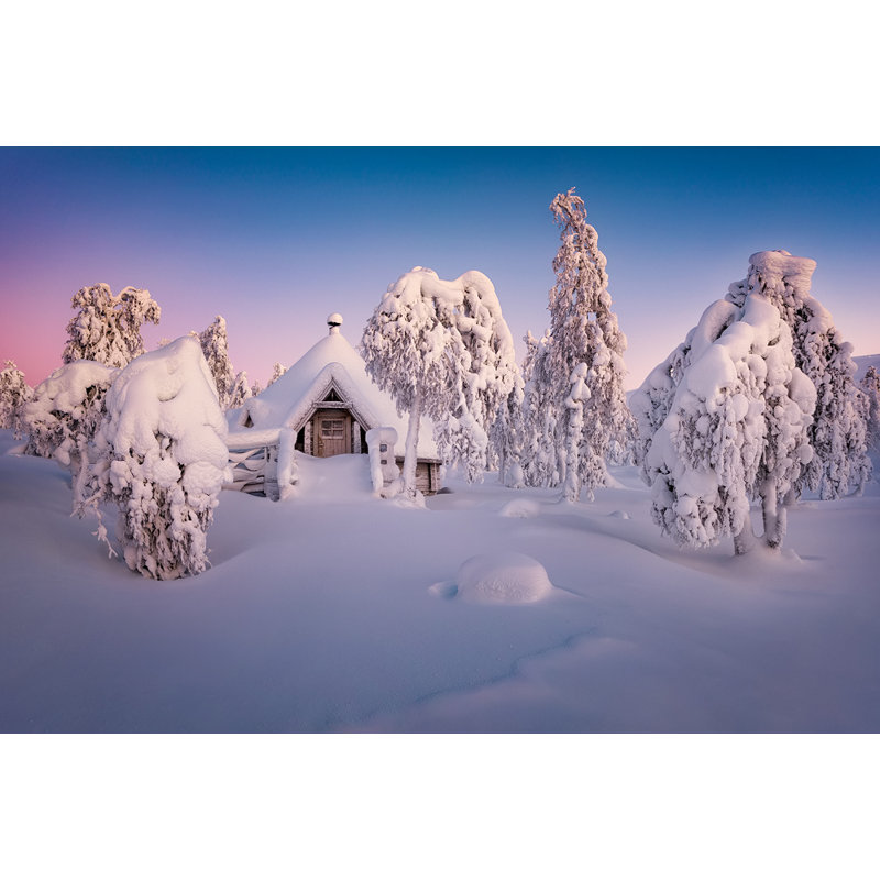 Wrapped Canvas Print, 50.8 cm H x 76.2 cm W
