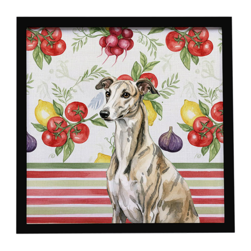 Brindle Whippet Légumes, impression sur métal encadrée