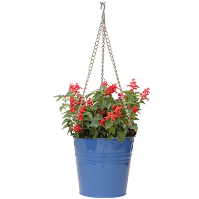 Pot de fleurs galvanisé émaillé Abbie