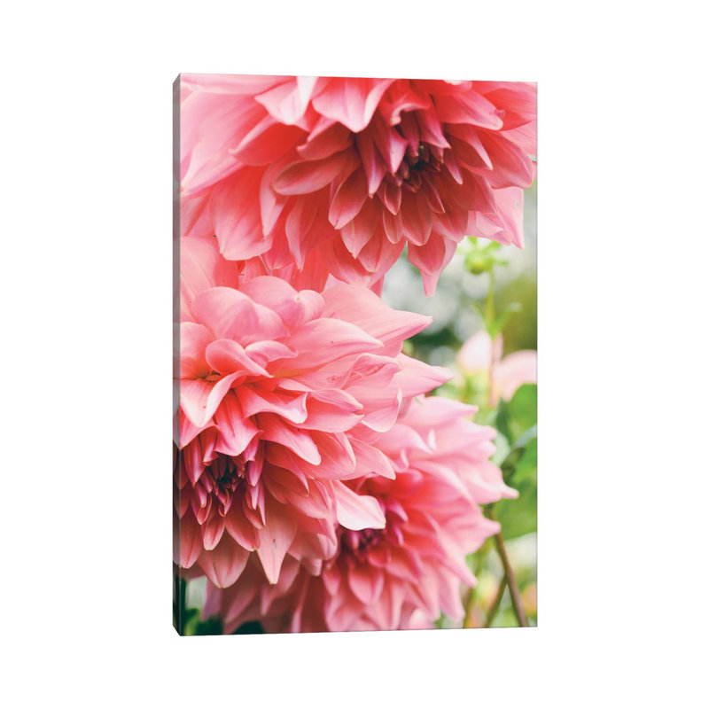 Collaboration 1 Piece Wrapped Canvas Painting, 20.32 cm H x 30.48 cm W