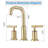 Widespread Bathroom Faucet with Drain Assembly-100863769