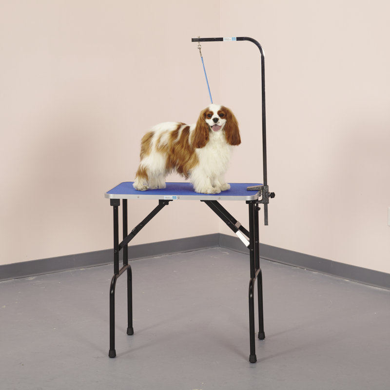 48'' Metal Foldable Dog Folding Grooming Table, 48" H x 21.5" W x 37.8" D, Purple