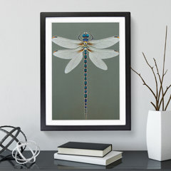 Dragonfly Gift Set – OC9 Gifts