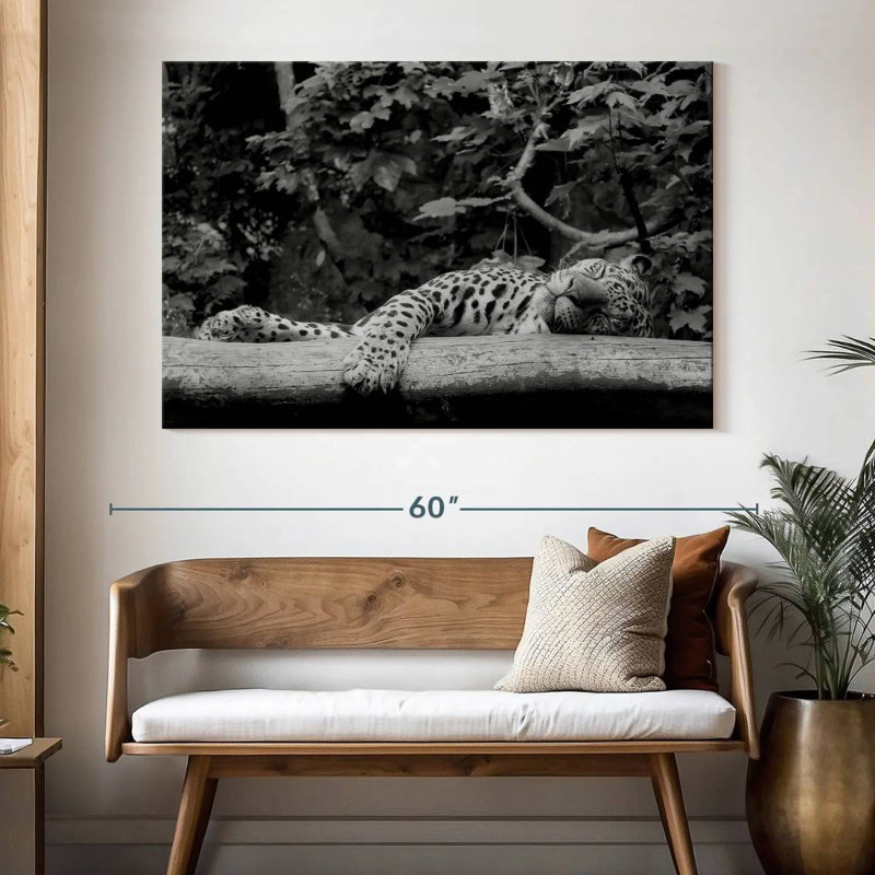 Brampt Jaguar Asleep