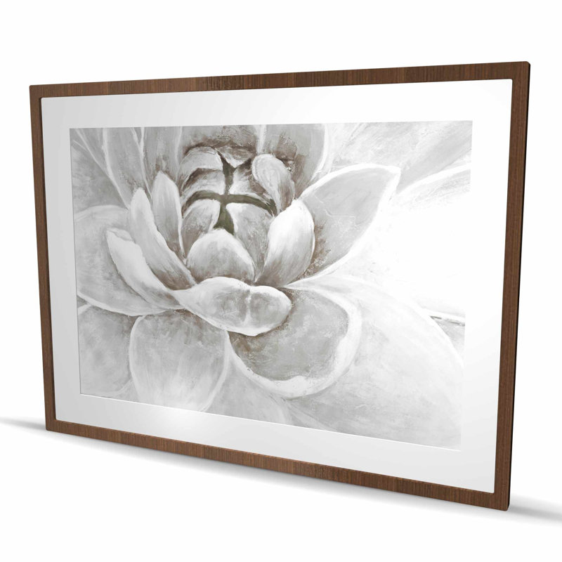 Délicat chrysanthème blanc - reproduction encadrée mate pour la décoration, H 36 po x l 48 po, Blanc, Brun